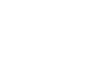 WOWBroker Team